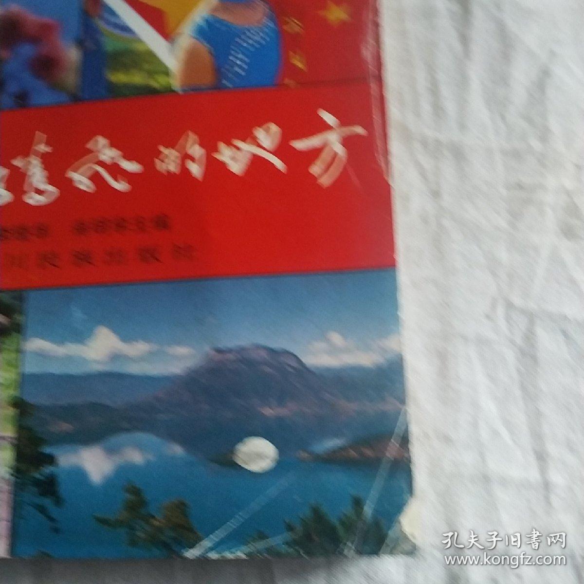 山鹰腾飞的地方—纪念凉山彝族自治州建国40周年通讯.特写.散文集