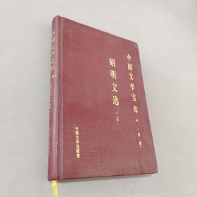 昭明文选上