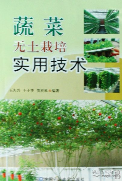 蔬菜无土栽培实用技术