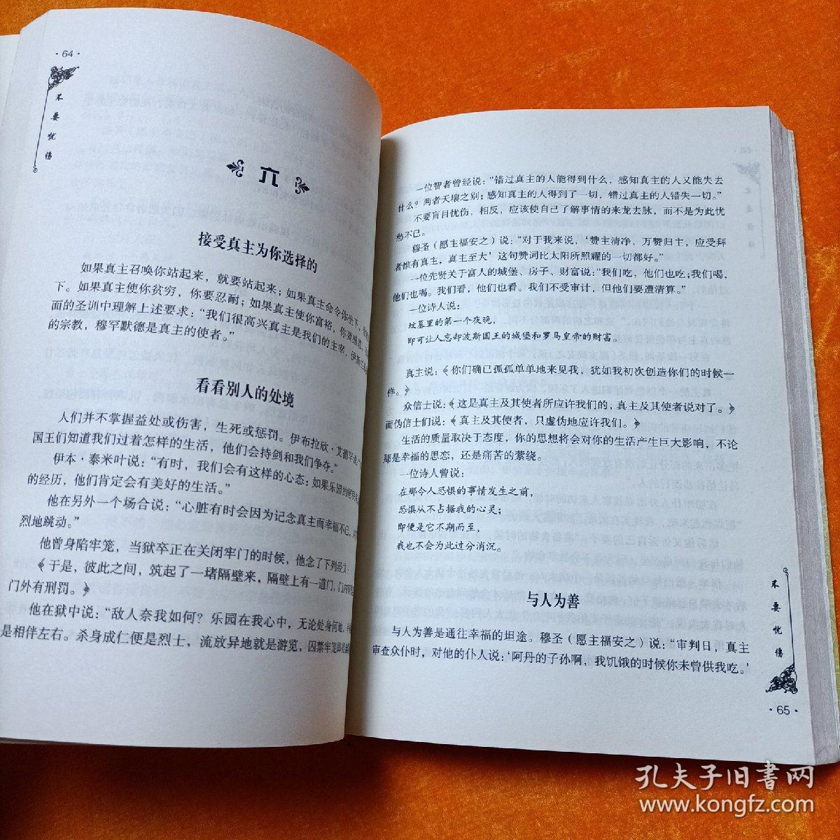 点击查看原图 不要忧伤(全译本)