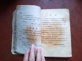 山东省小学试用课本 语文 四年级上下册、五年级上下册 合订