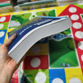 城市遥感:城市环境监测集成与建模