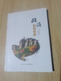 临沂文旅指南