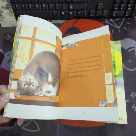 猫火车，或朵朵的一朵花儿（一版一印）如图 微瑕