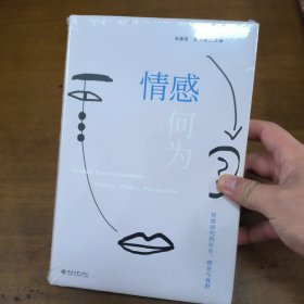 情感何为：情感研究的历史、理论与视野 张春田等著