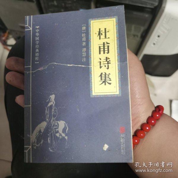 中华国学经典精粹·名家诗词经典必读本:杜甫诗集