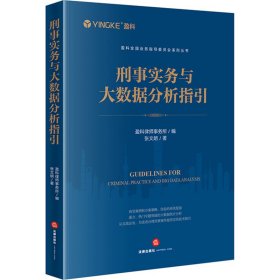 刑事实务与大数据分析指引 法学理论 张文明 新华正版