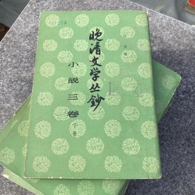 晚清文学丛钞小说第三卷下册