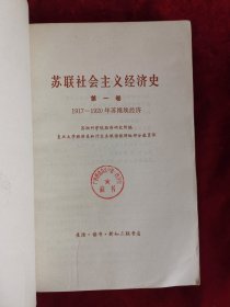 苏联社会主义经济史 第一卷 1917-1920年苏维埃经济