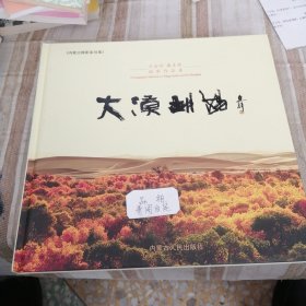 内蒙古摄影家丛书 大漠胡杨王会师戴东辉摄影作品集(精装本)