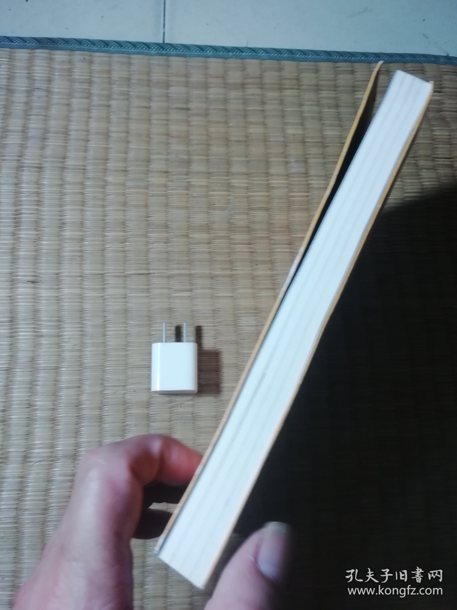 依然热爱生活（现象级访谈类节目《凉子访谈录》亮相文坛之作，黄灯以爱之名作序，梁鸿、史航诚意推荐）（一版一印）正版现货 内干净无写涂划 实物拍图）