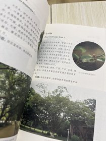 康乐芳草：中山大学校园植物图谱（第2版）