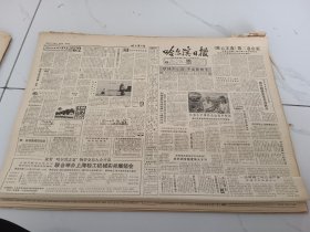 哈尔滨日报1984年7月15日，访杨振华