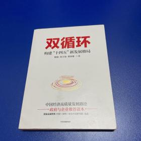 双循环构建十四五新发展格局双循环与我们的关系樊纲作品国家高端智库出品政府和企业推荐读本