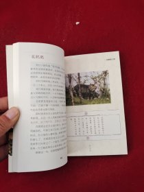 马未都说：枕上篇 32开