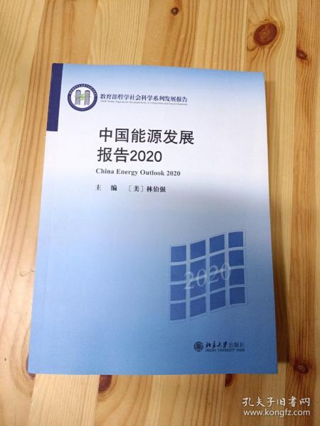 中国能源发展报告2020