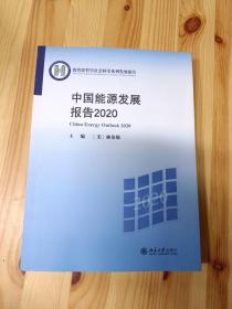 中国能源发展报告2020