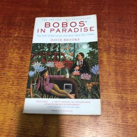 Bobos In Paradise：The New Upper Class and How They Got There