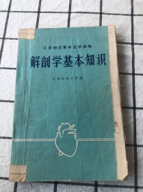 解剖学基本知识