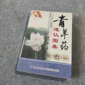 青草药速认图集（一书在手，房前屋后草药轻松认；一书在手，日常生活病痛自己治）