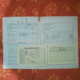 上世纪60年代漯河市社会闲散劳动力登记卡片+调配记录+登记表 (一式三份)