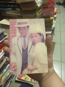 苗侨伟与翁美玲