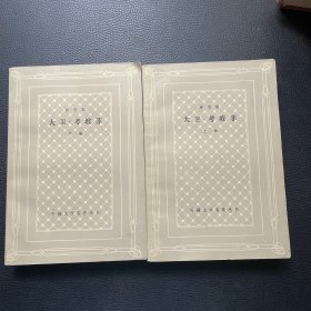 大卫·考坡菲（网格本）上下