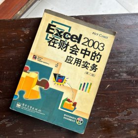 Excel2003在财会中的应用实务