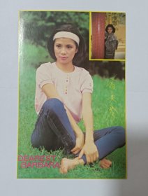 明星贴纸，翁美玲