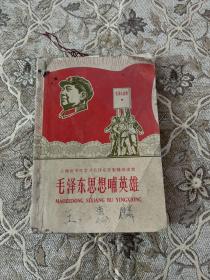 毛泽东思想哺英雄