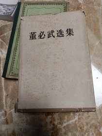 董必武选集
