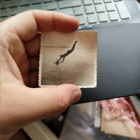 1张80年代黑白老照片： 跳水