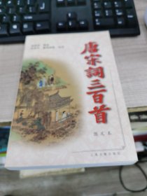 唐宋词三百首