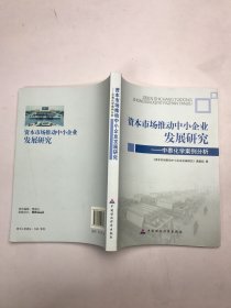 资本市场推动中小企业发展研究：中泰化学案例分析