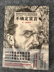 不确定宣言：凡·高画传