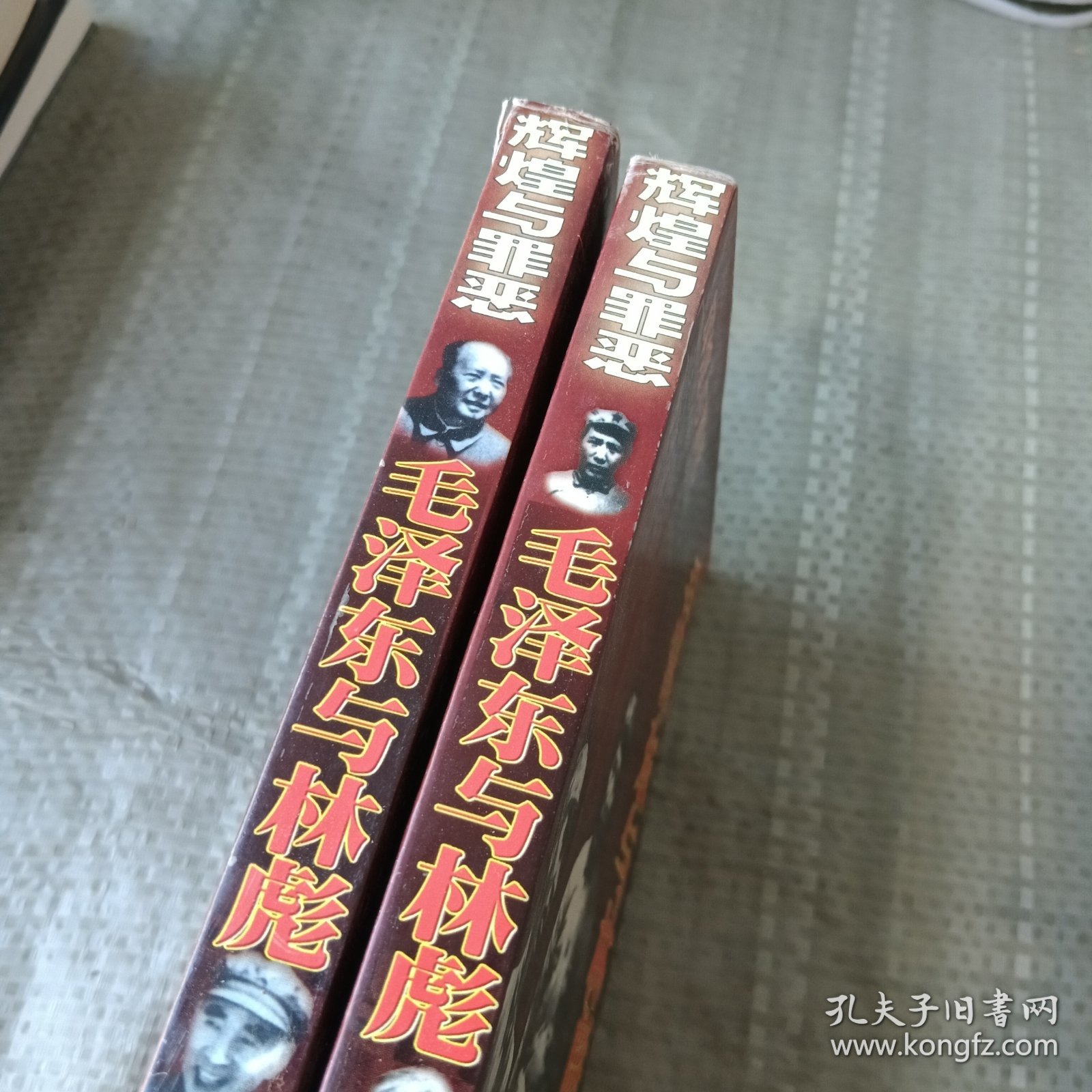 毛泽东与林彪 上下