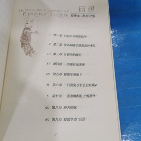 凯特·迪卡米洛作品典藏：爱德华的奇妙之旅