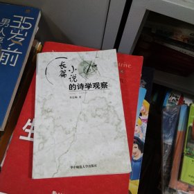 长篇小说的诗学观察