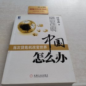 中国怎么办：当次货危机改变世界