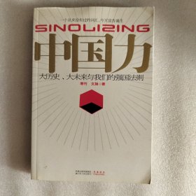 中国力：大历史、大未来与我们的强国法则