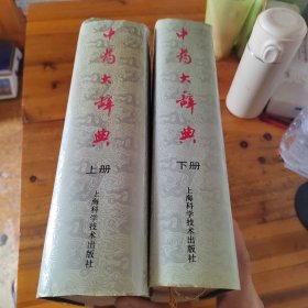 中药大辞典（上下）