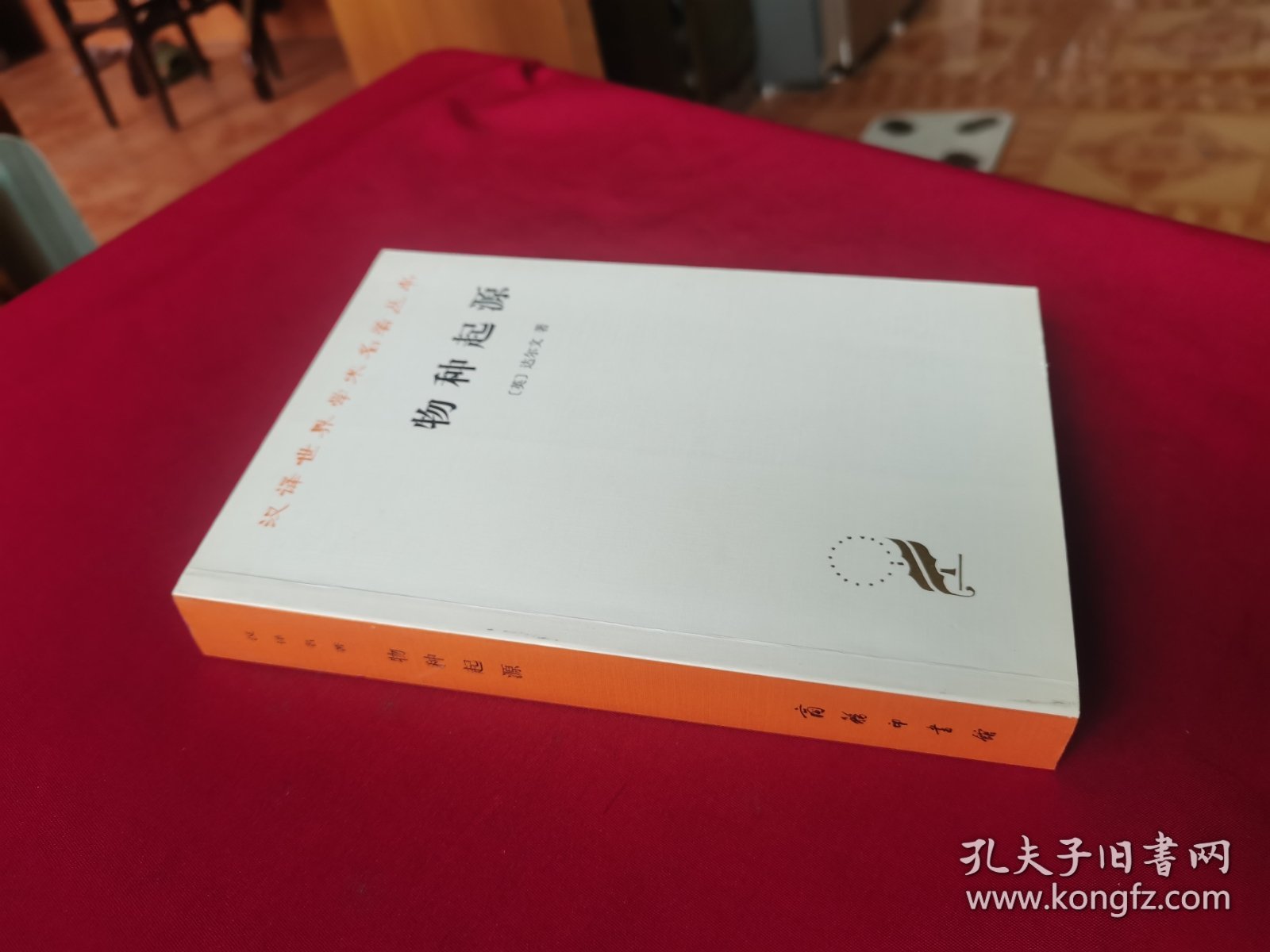物种起源