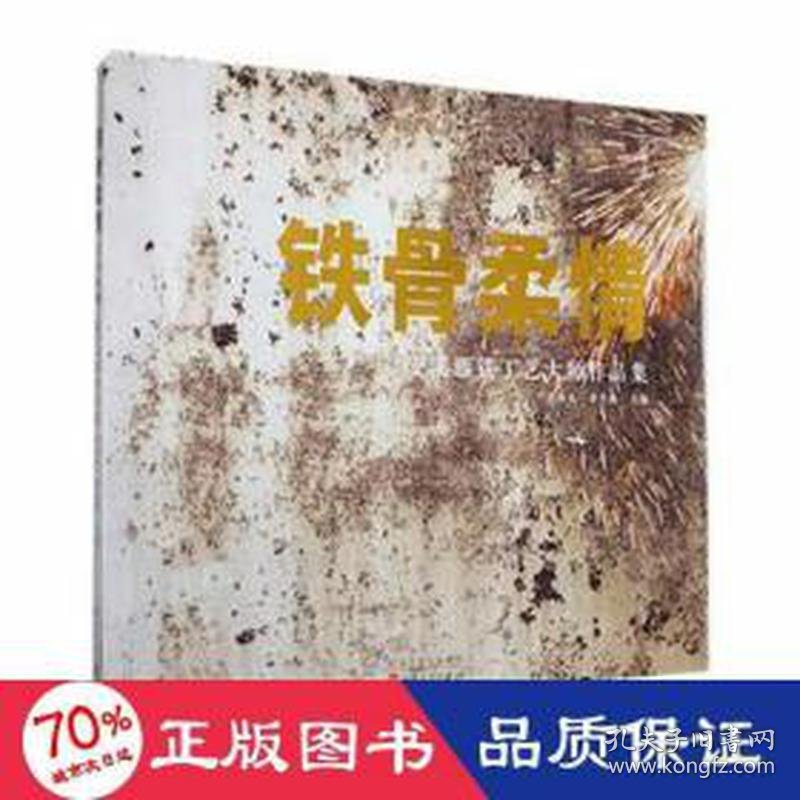 铁骨柔情:安溪藤铁工艺大师作品集 美术作品 李海水，李杰林主编 新华正版