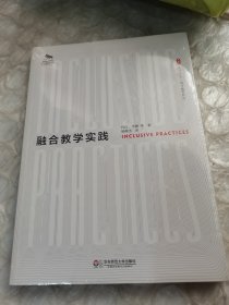 大夏书系：融合教学实践