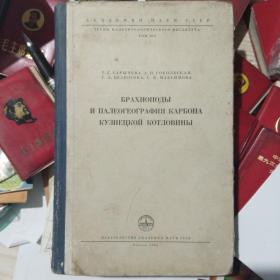 库兹湟茨盆地的石妃腕足类及古地理БРАХИОПОДЫ И ПАЛЕОГРАФИЯ КАРБОНА КУЗНЕЦКОЙ КОТЛОВИ