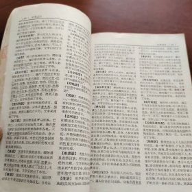 辞海  语言文字分册