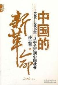 中国的新革命：1980－2006年，从中关村到中国社会