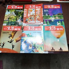 三联生活周刊（2024年计六本，6～7期是合刊，共七期合售）