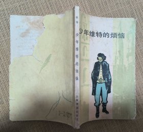 少年维特的烦恼