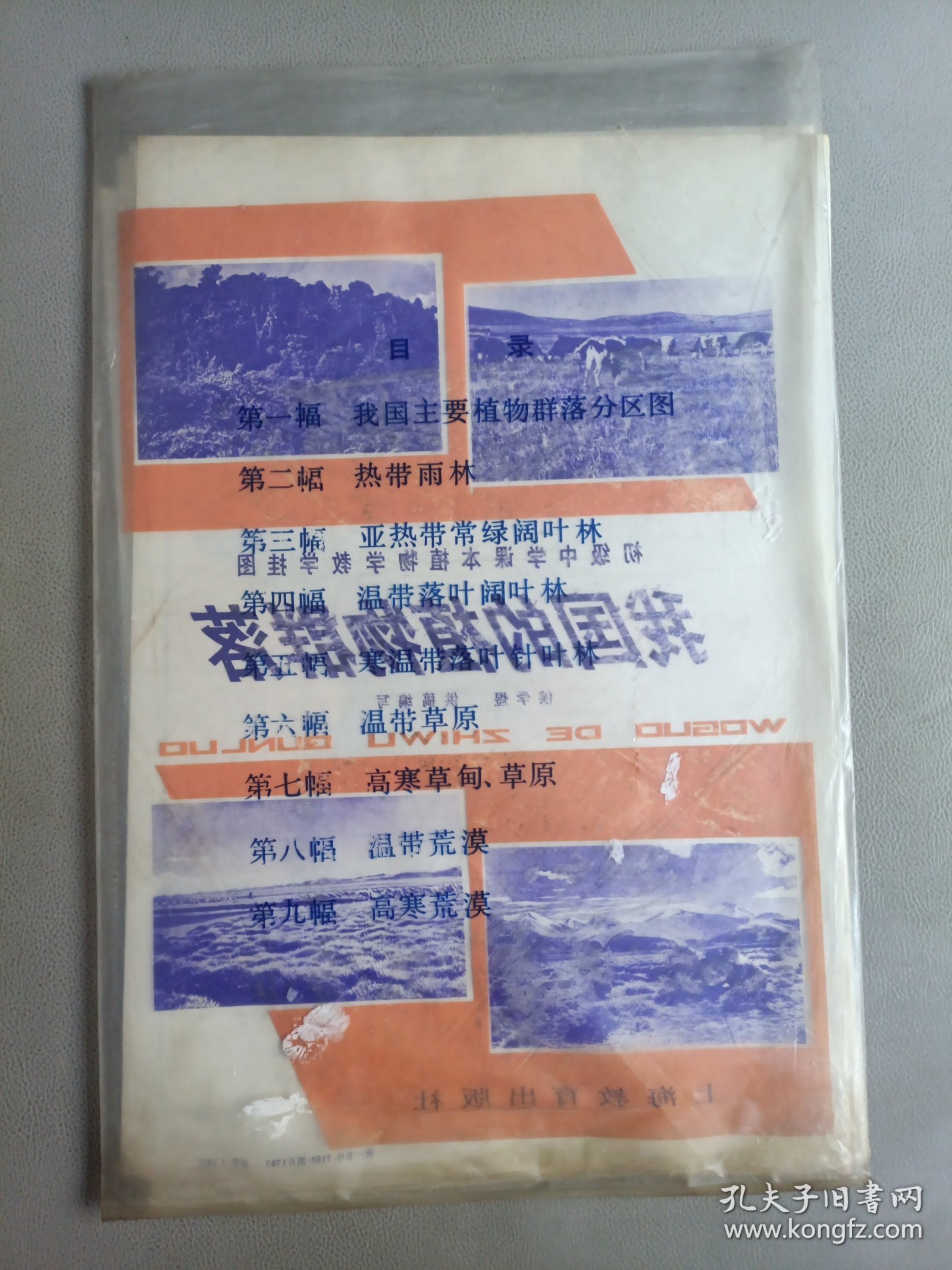 初级中学课本动物学教学挂图——我国的植物群落(全9幅)